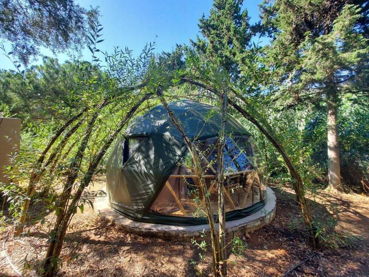 Salema Eco Camp - Sustainable Camping & Glamping Екстер'єр фото